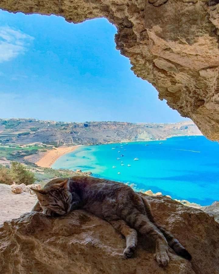 Farmhouse Tal Kaptan Kerċem Екстериор снимка